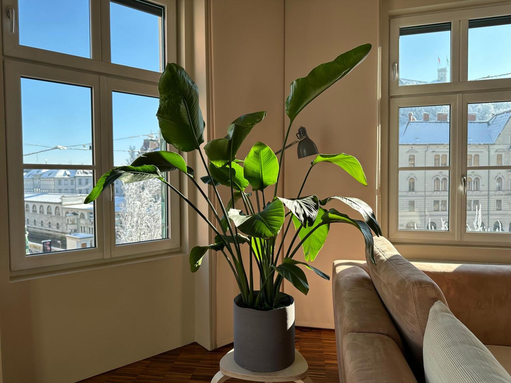 Apartamento Triple Bridge Liubliana Exterior foto
